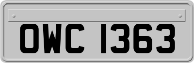 OWC1363