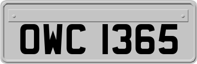 OWC1365