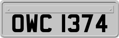 OWC1374