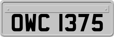 OWC1375