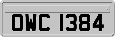 OWC1384