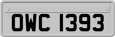 OWC1393