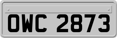 OWC2873
