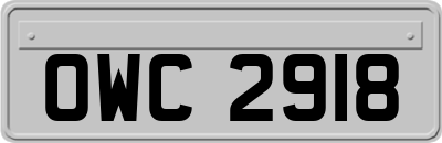 OWC2918