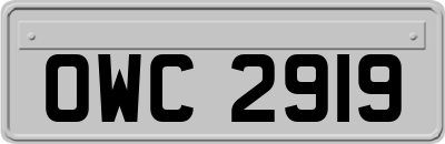 OWC2919