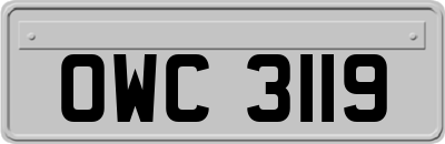 OWC3119