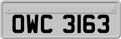OWC3163