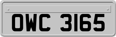 OWC3165