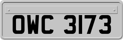 OWC3173