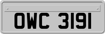 OWC3191