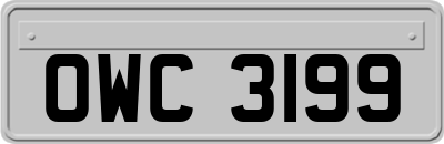 OWC3199