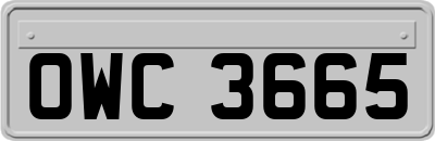 OWC3665
