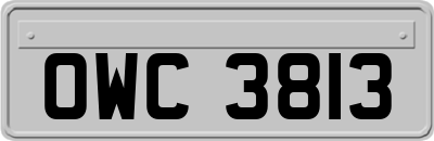 OWC3813