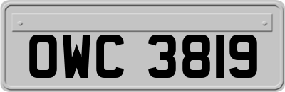 OWC3819