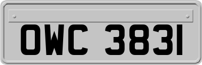 OWC3831