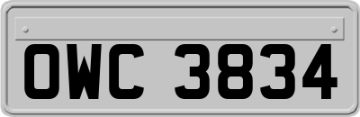 OWC3834