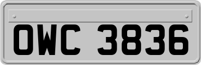 OWC3836