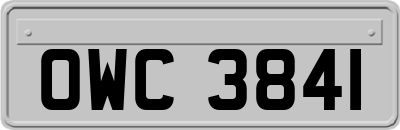 OWC3841