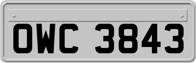 OWC3843