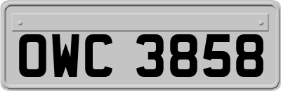 OWC3858