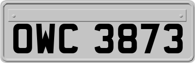 OWC3873