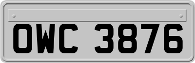 OWC3876
