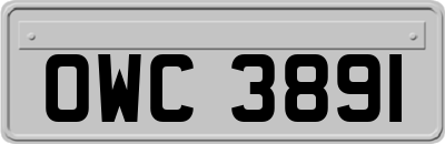 OWC3891