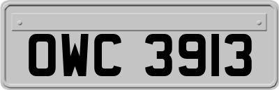 OWC3913
