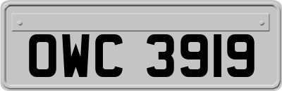 OWC3919
