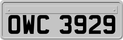 OWC3929
