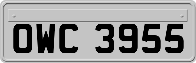 OWC3955