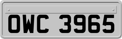 OWC3965