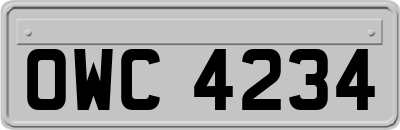 OWC4234