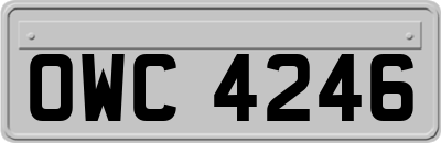 OWC4246