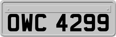 OWC4299