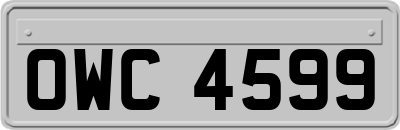 OWC4599