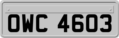 OWC4603
