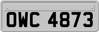 OWC4873