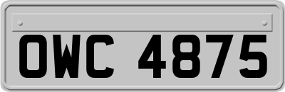OWC4875