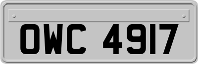 OWC4917