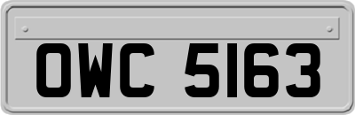 OWC5163