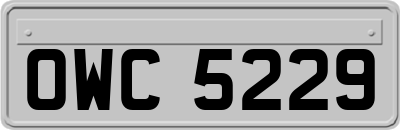 OWC5229