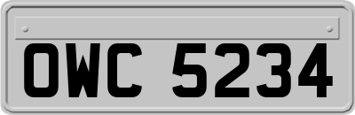 OWC5234