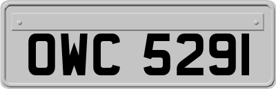 OWC5291