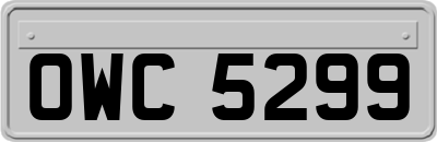 OWC5299