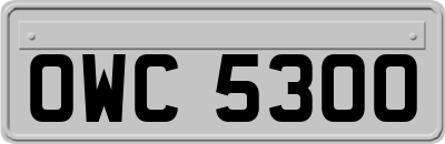 OWC5300