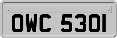OWC5301