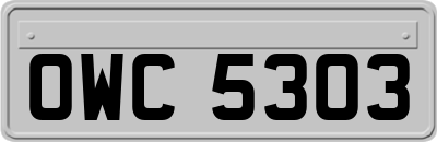 OWC5303