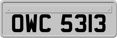 OWC5313