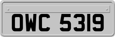 OWC5319